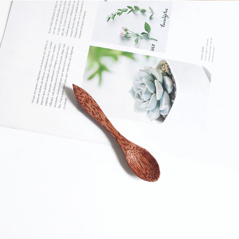 천연 코코넛 그릇 스푼 세트, 쉘 12-15cm, 샐러 - Dim Sum Basket 리뷰 및 가격
